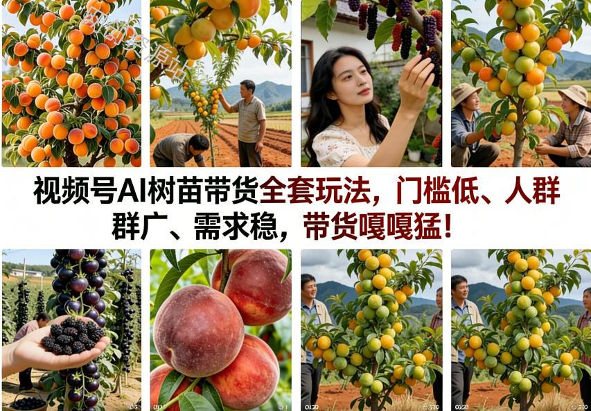视频号AI树苗带货全套玩法，门槛低、人群广、需求稳，带货嘎嘎猛！（更新1014）
