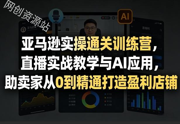 亚马逊实操通关训练营，直播实战教学与AI应用，助卖家从0到精通打造盈利店铺（更新1016）