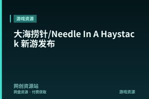 大海捞针/Needle In A Haystack 新游发布