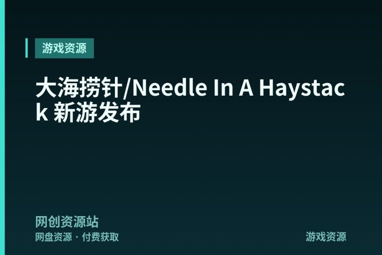 大海捞针/Needle In A Haystack 新游发布