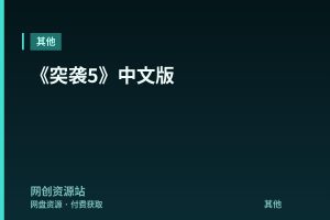《突袭5》中文版