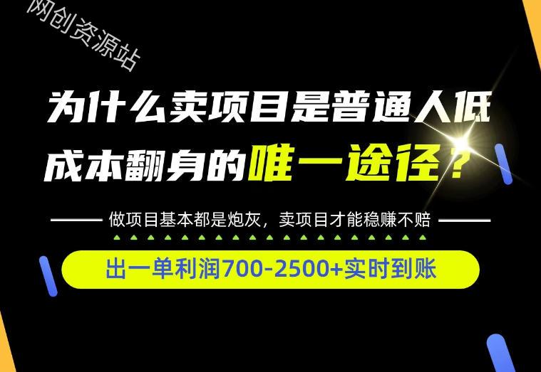普通人如何靠互联网賺取自己的第一桶金！全类目实操型教学，看完你全都懂了！【揭秘】